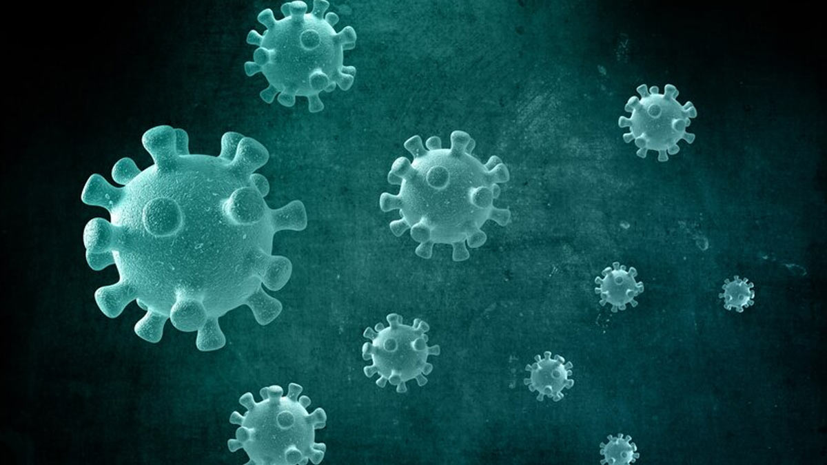 Preventive Measure To Help You Tackle Disease X