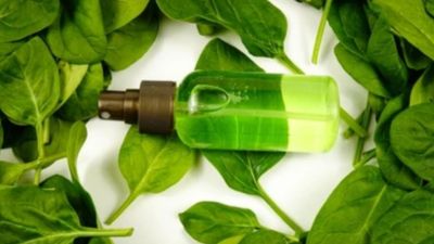 The Healing Power of Spinach Extract: Can It Heal Diabetic Ulcers?