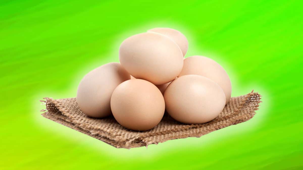 egg