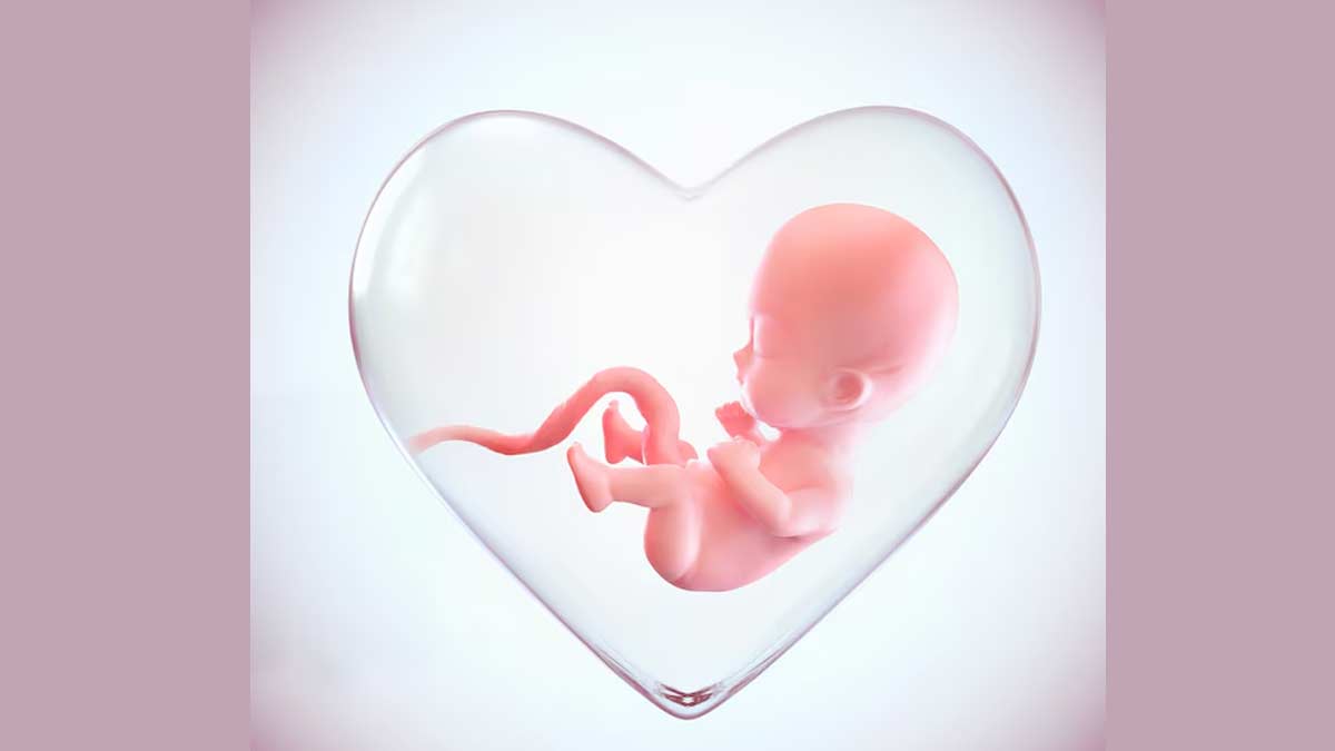 Tips To Prevent Health Risks From An Anteverted Uterus