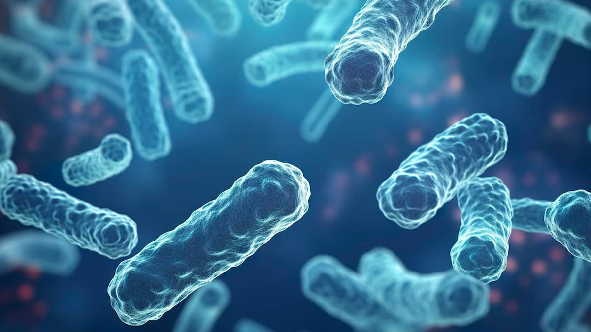 Whooping Cough Risk Factors And Prevention Tips You Must Know