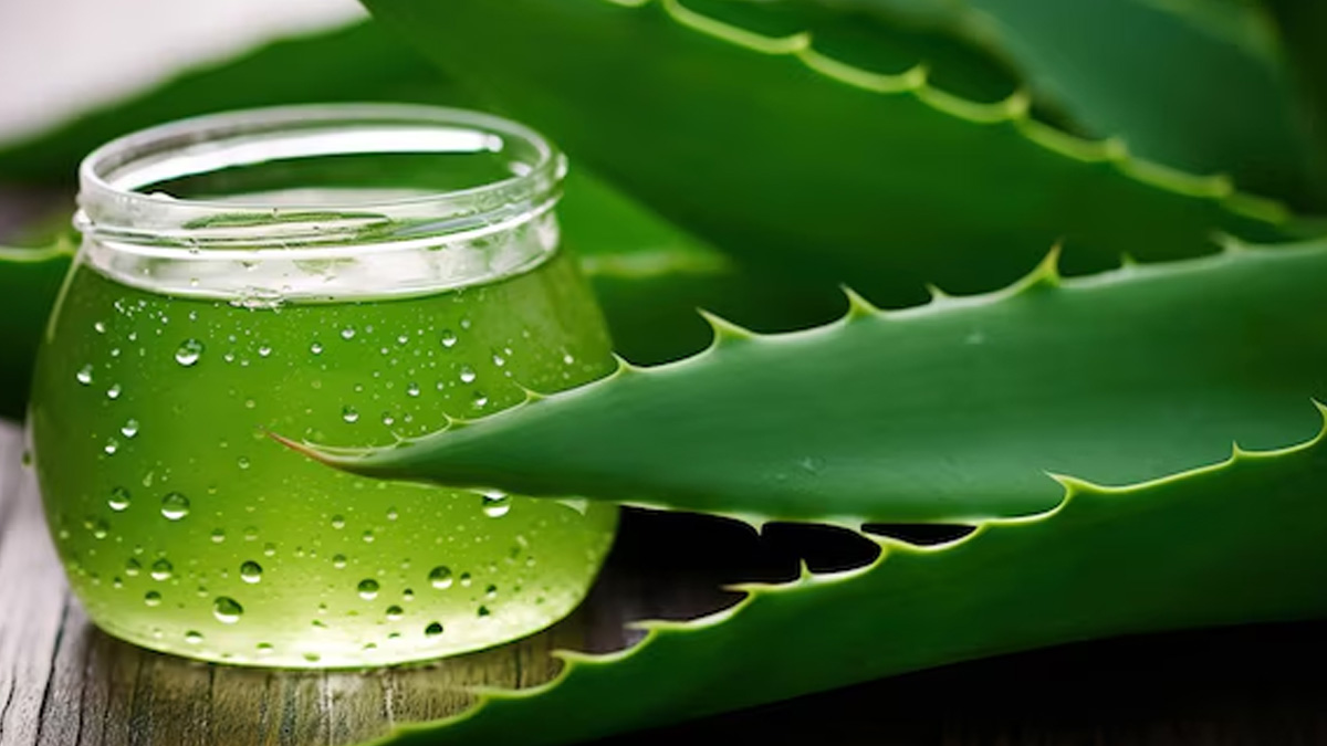 ayurvedic herbs for summers