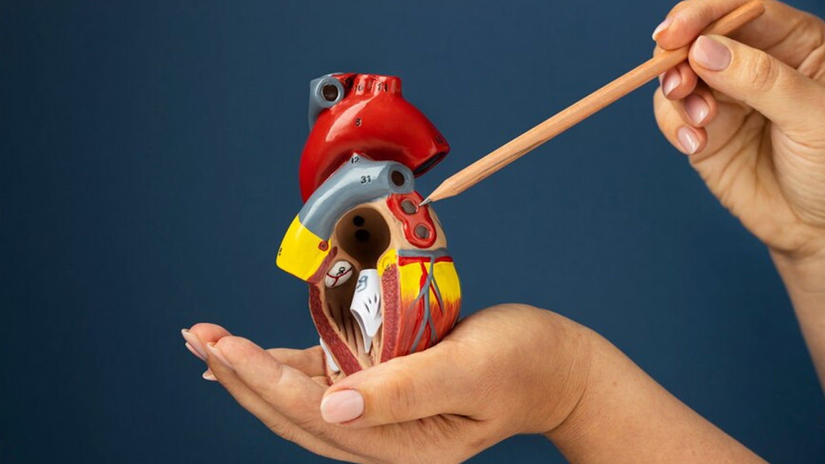 How Does Sugar Intake Affect Cholesterol Levels
