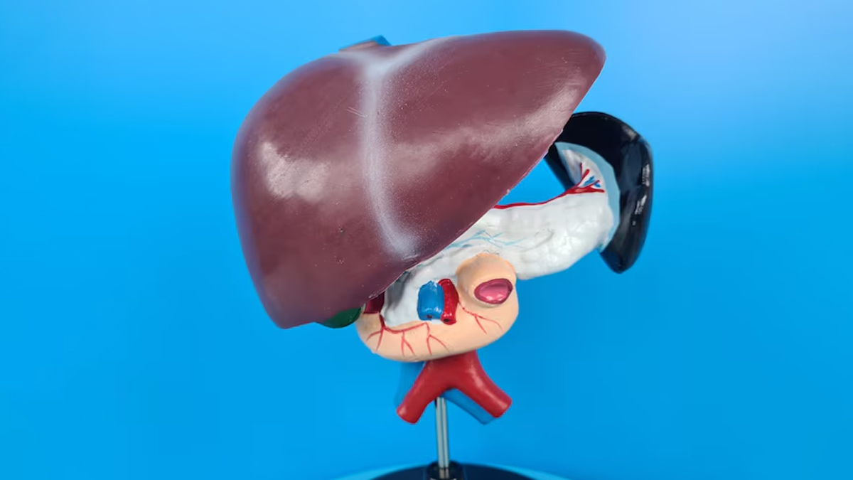 Can Liver Disease Be Hereditary