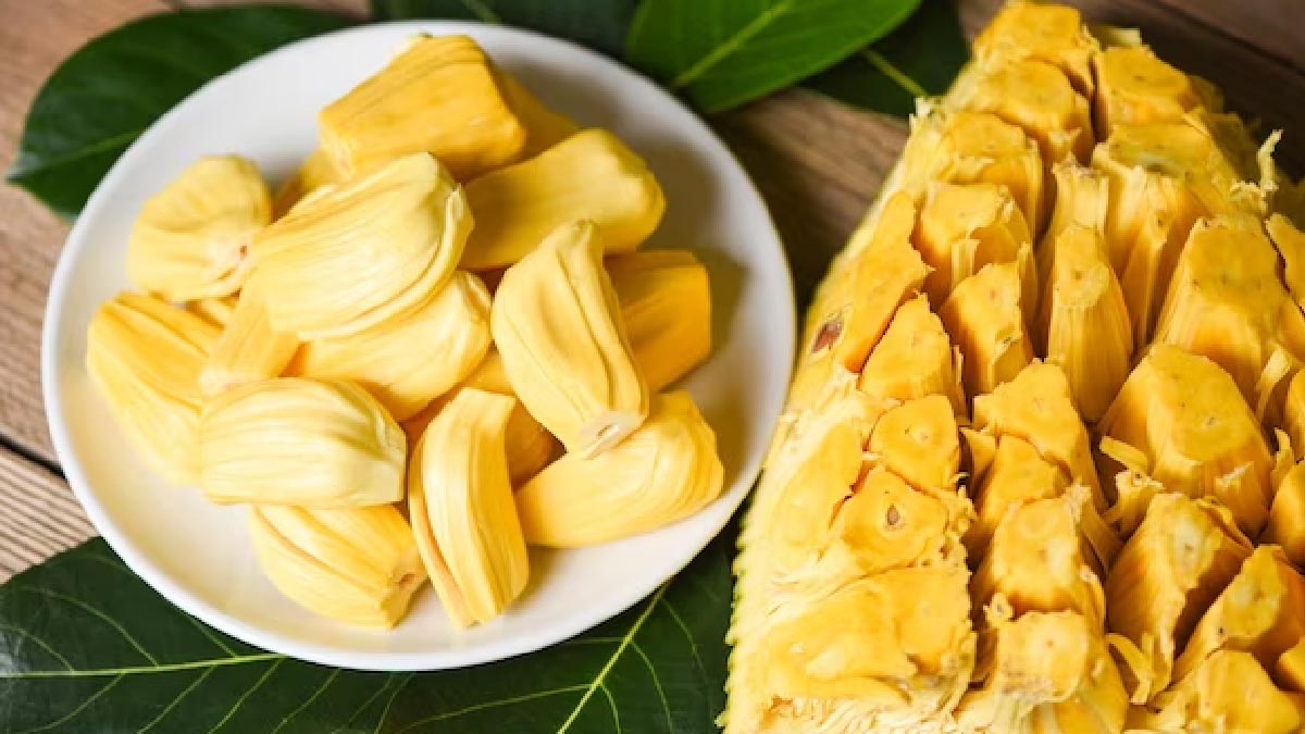 jackfruit benefits in hindi