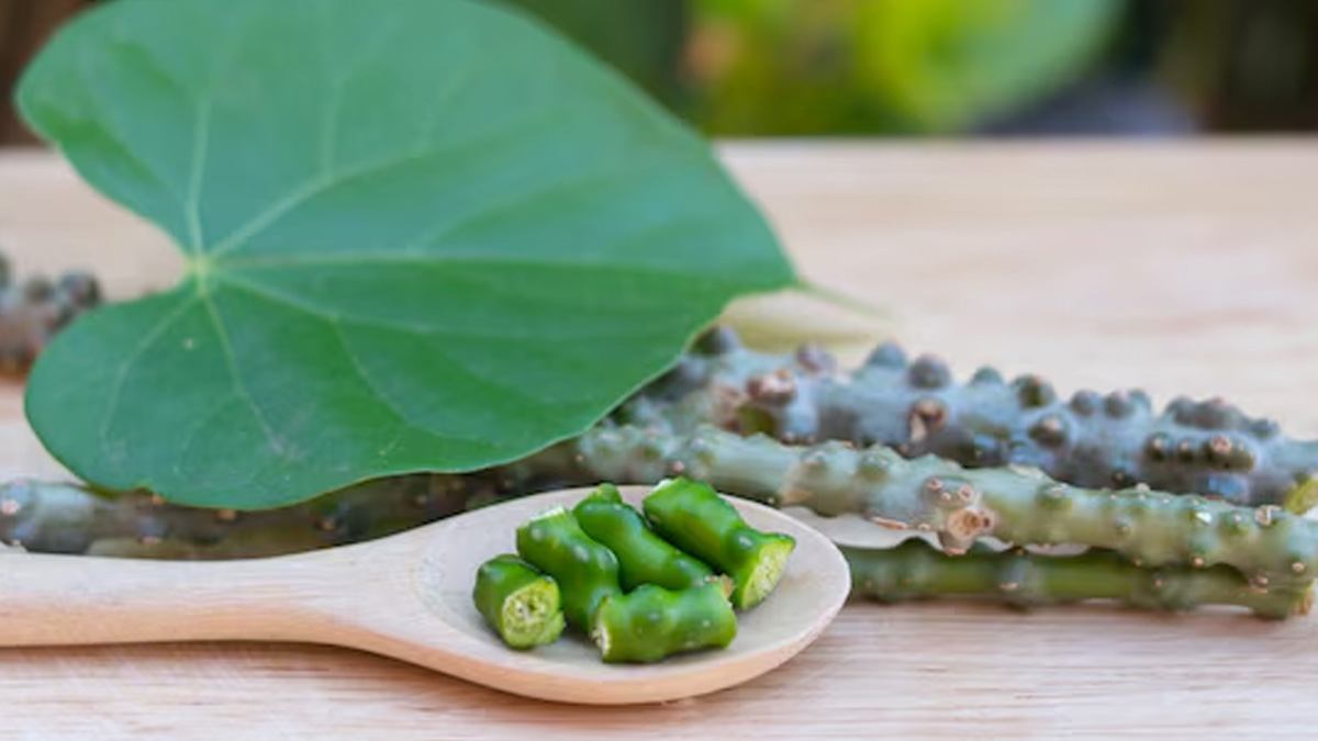 Is Giloy Useful In Typhoid In Hindi