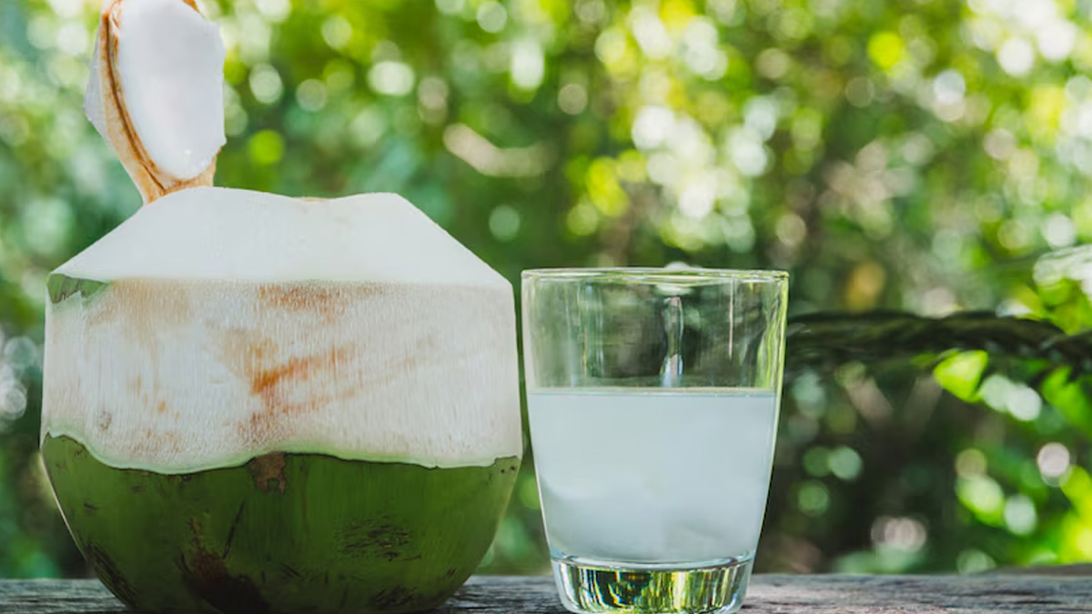 how to prevent dehydration in dengue