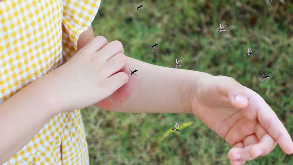how-to-protect-children-from-mosquito-bites