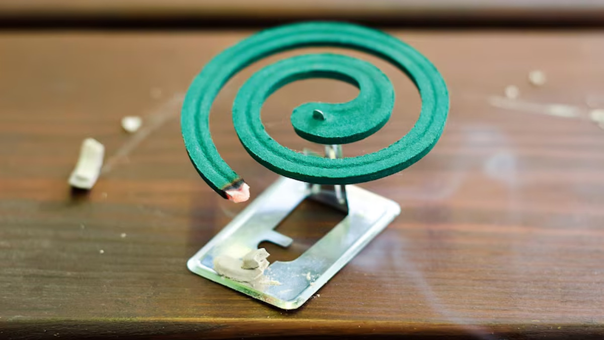 mosquito-coil