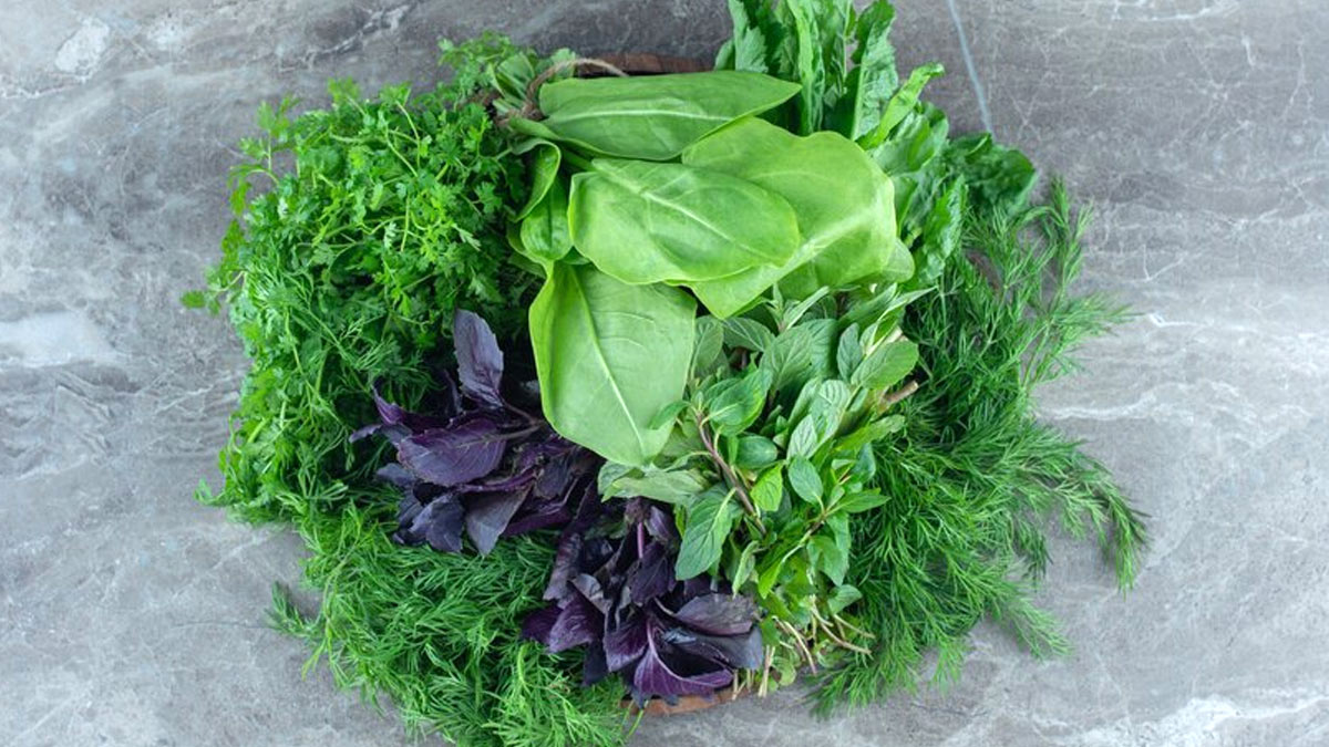 Hemoglobin During Pregnancy in hindi