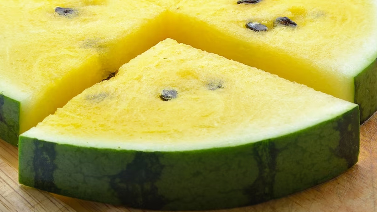 Skincare Benefits Of Kalahari Melon Oil