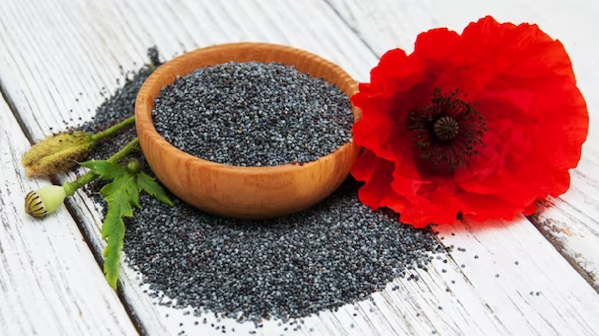 How To Use Poppy Seeds For Dry And Dull Hair