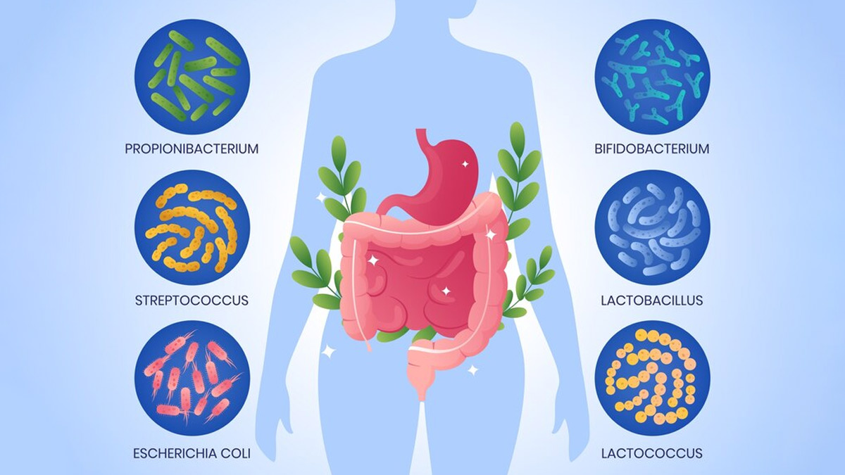 Expert Shares How Poor Gut Health Can Cause Hypertension, Importance Of Probiotics
