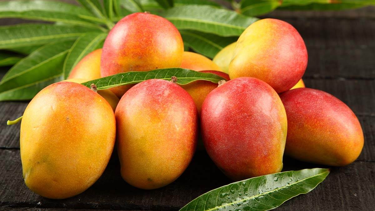 Expert Shares Fruits That Can Help You Combat Bad Body Odour Due To Sweating