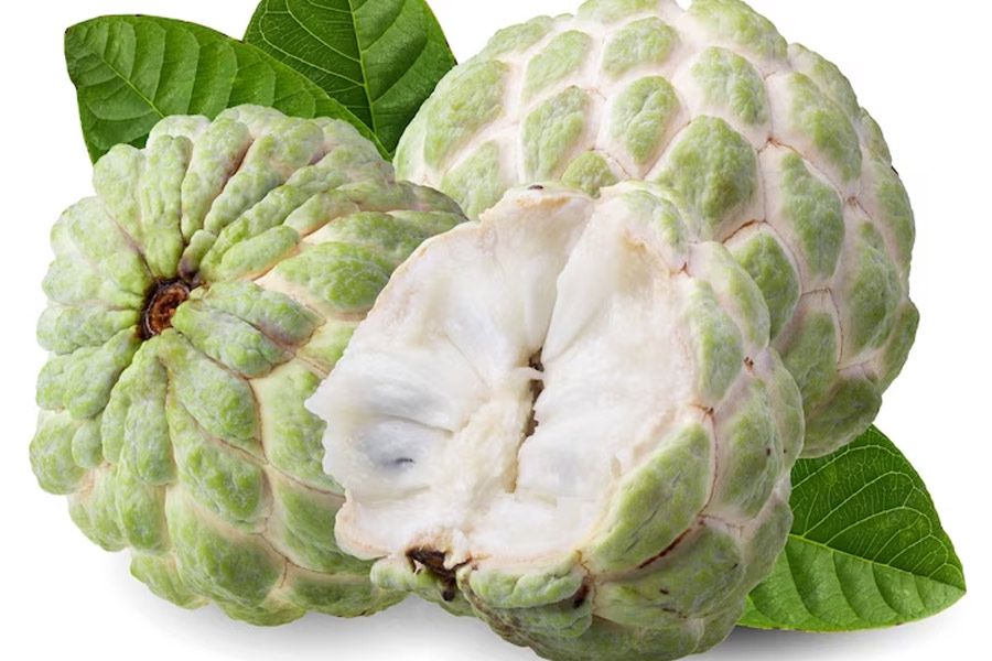 custard apple benefits for digestion
