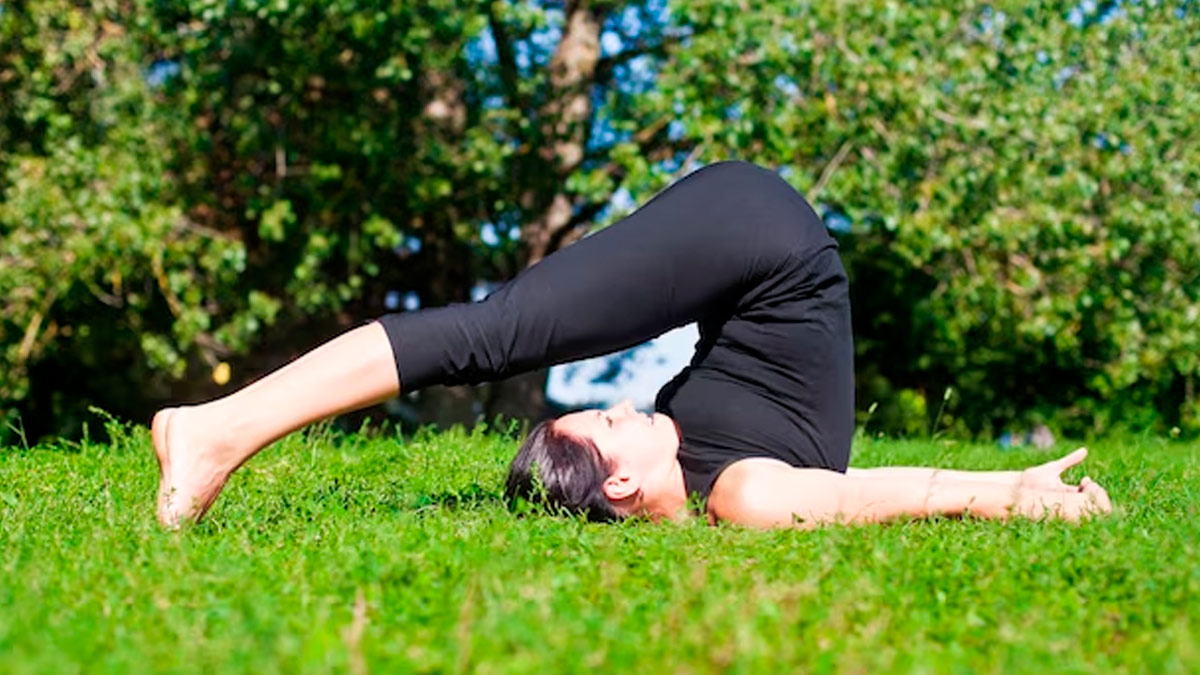 halasana yoga