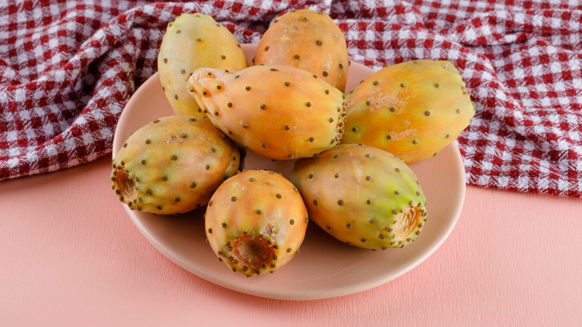 Skincare Benefits Of Prickly Pear Seed Oil