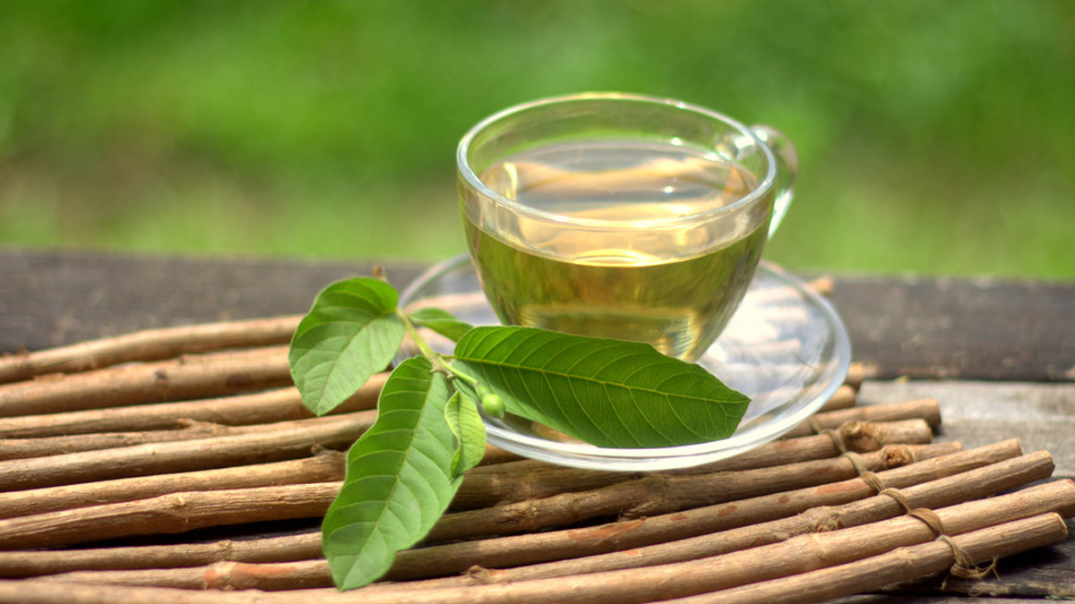 gauva-leaf-tea