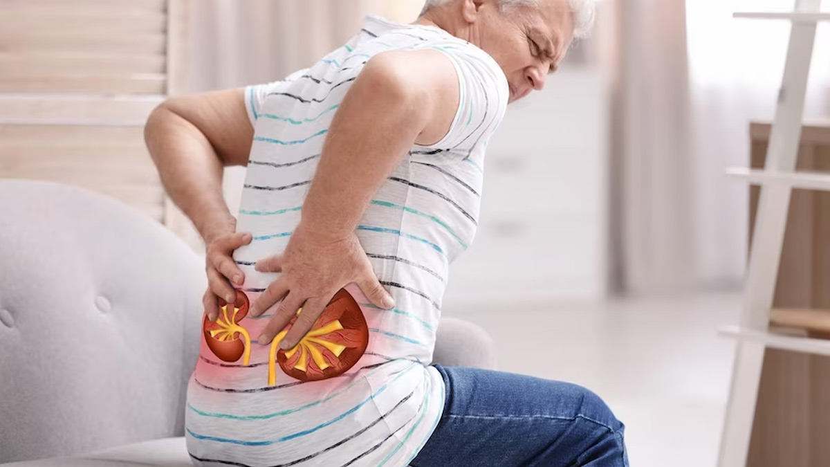 Expert Shares How Artificially Sweetened Drinks Can Increase The Risk Of Kidney Stones