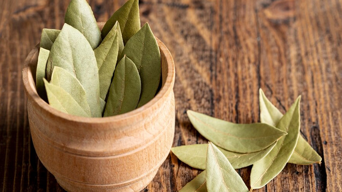 Bay Leaf Water Benefits in High Cholesterol