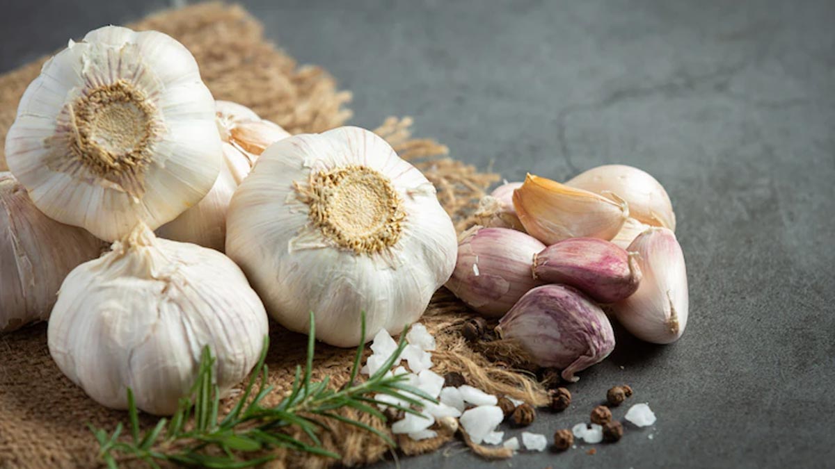 Can Garlic Actually Help To Shed Fat?