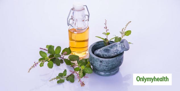 Benefits of Tulsi Leaves to Control Bad Cholesterol LDL Levels
