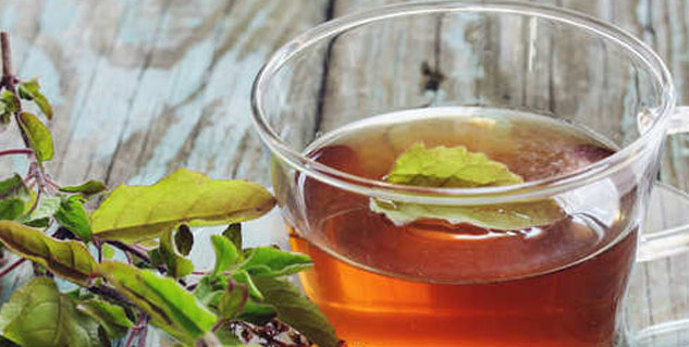 Benefits of Tulsi Leaves to Control Bad Cholesterol LDL Levels