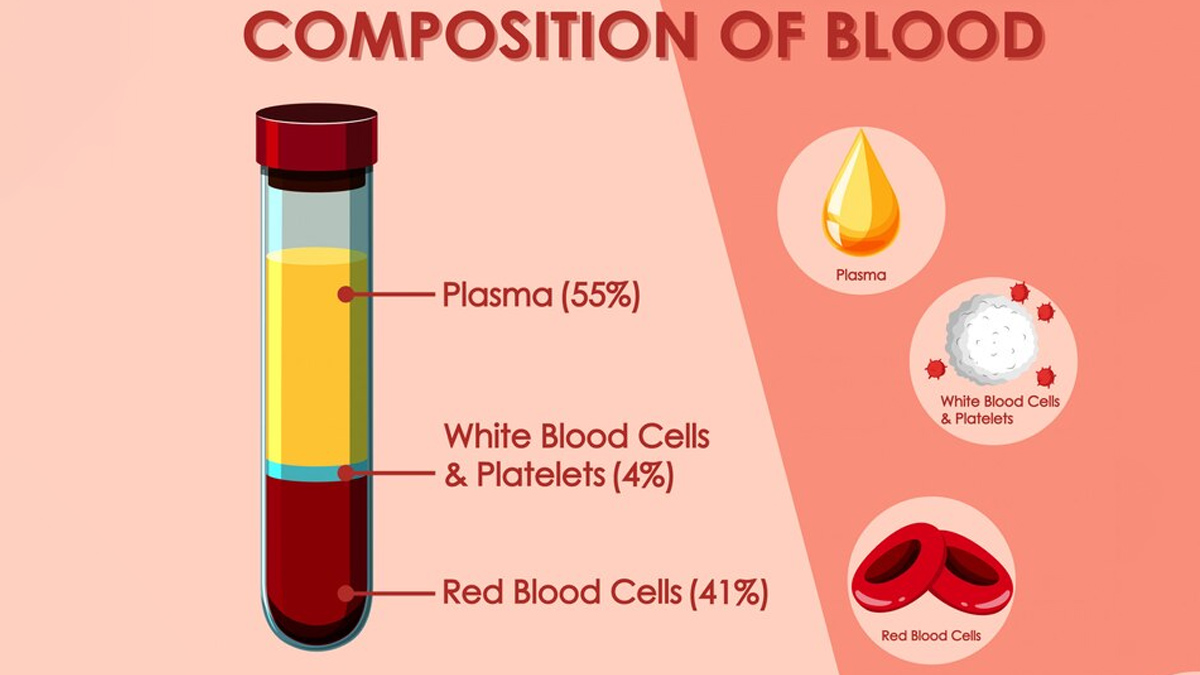 Fruits to increase haemoglobin naturally