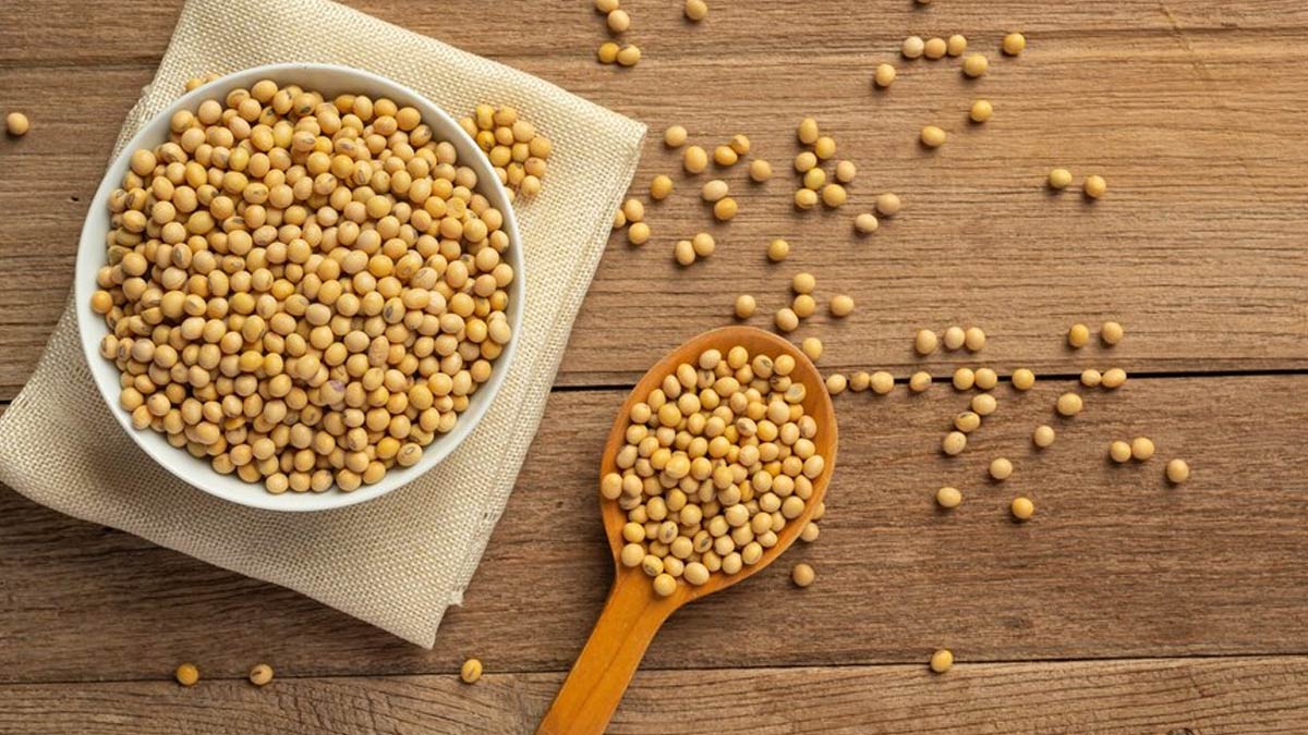 Health Benefits Of Dual Plant Protein