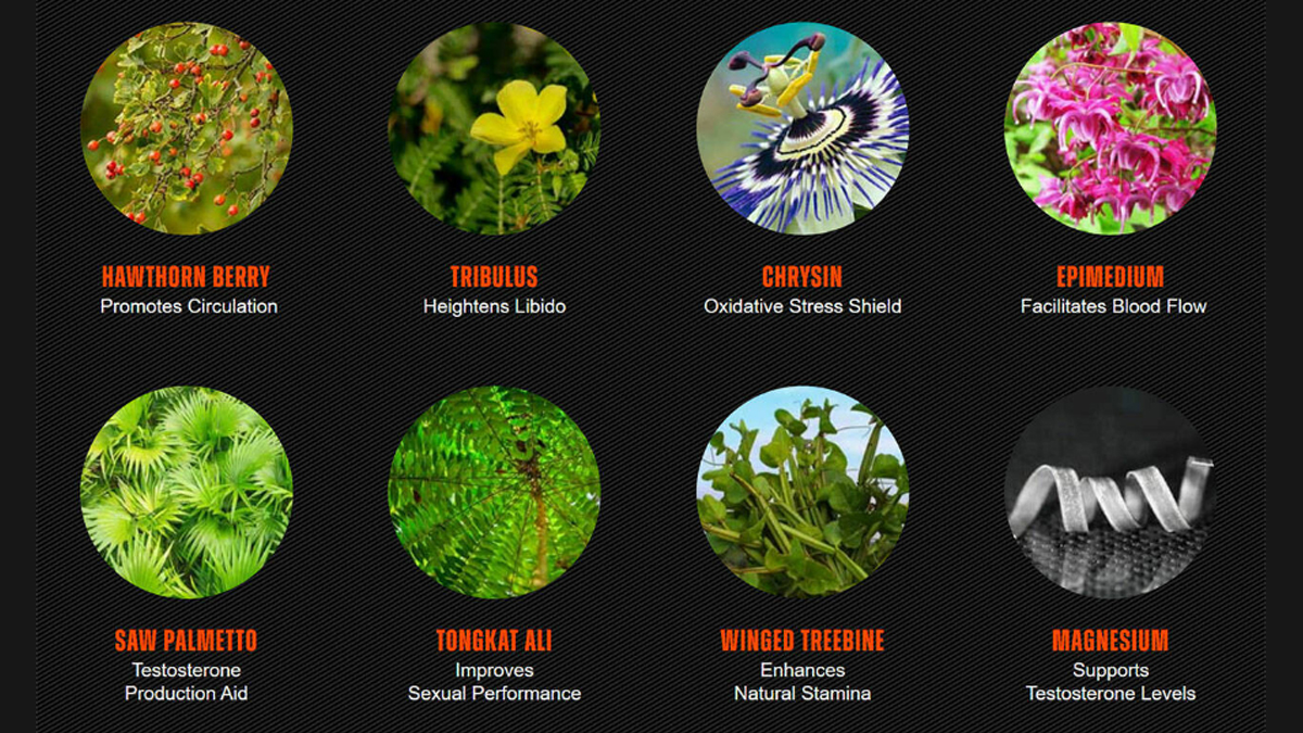 EndoBoost ingredients