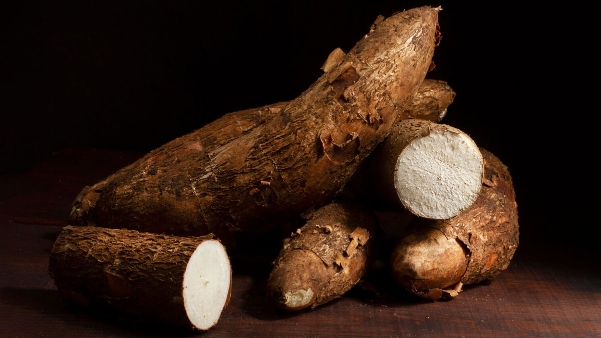 Arrowroot Powder For Diarrhoea Loose Motion In Hindi