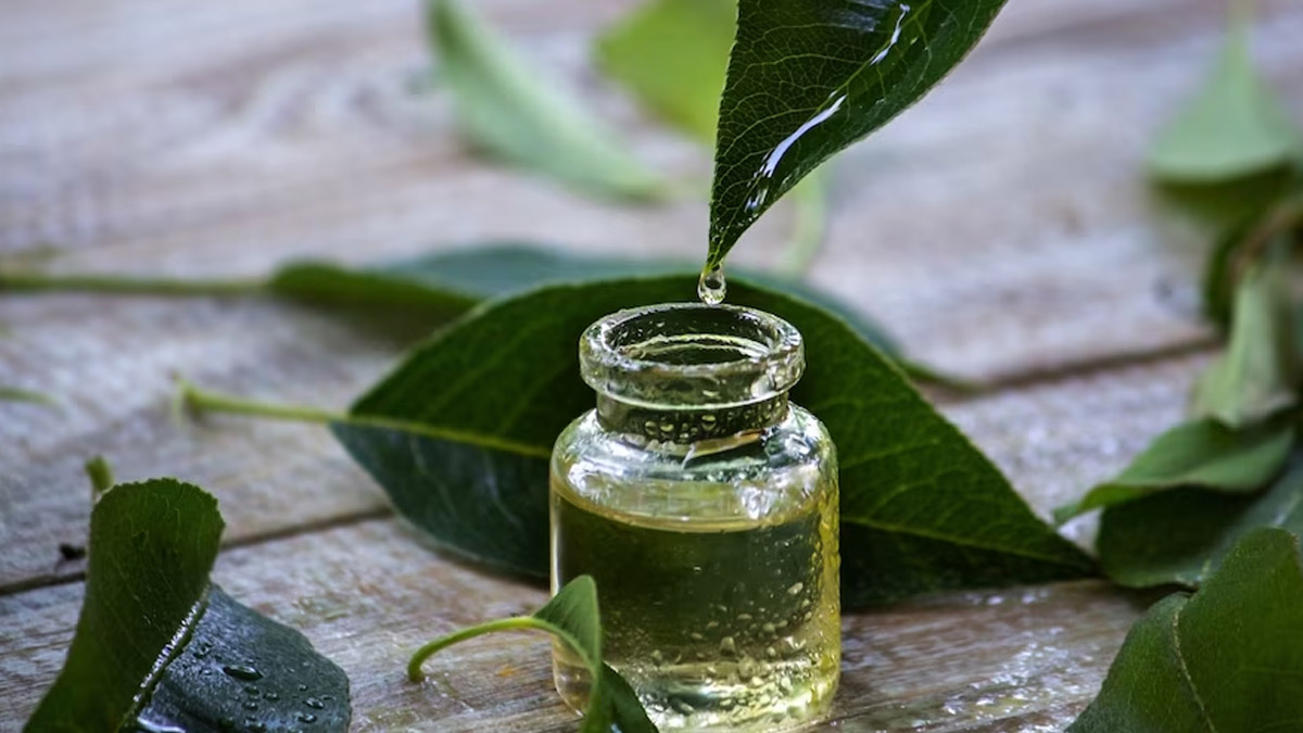 tea-tree-oil