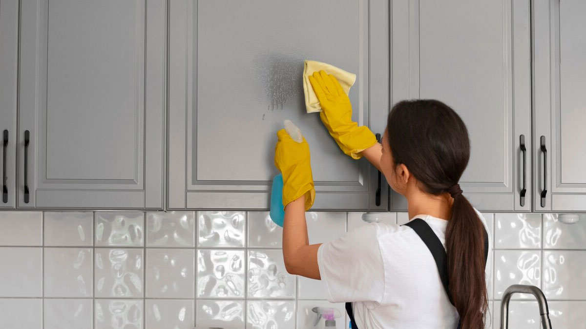 Tips To Keep Home Healthy In Hindi