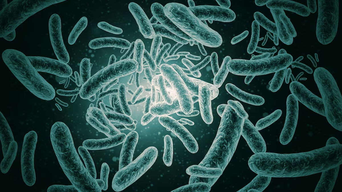 WHO Panel To Debate On Deadly Disease X: Here Are Some Viruses That May Cause The Next Pandemic