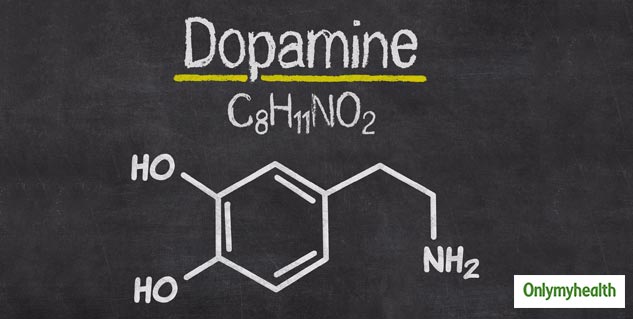 Food Items to Increase Dopamine Levels Naturally