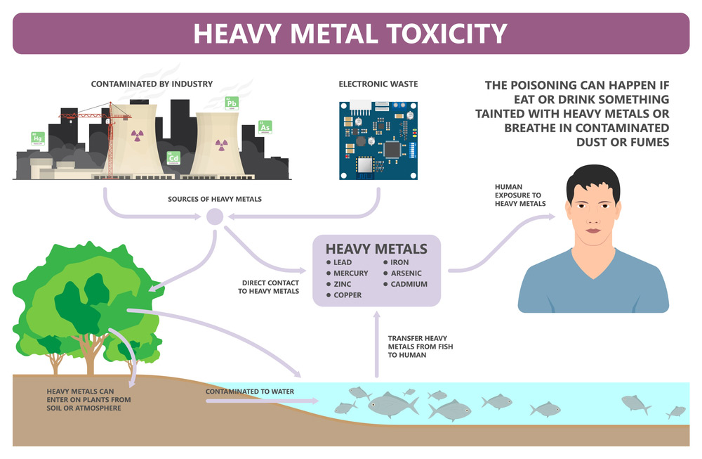 What Are The Diseases Caused By Toxic Metals in hindi