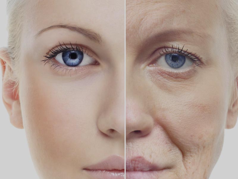 vitamin e foods that naturally reverse ageing