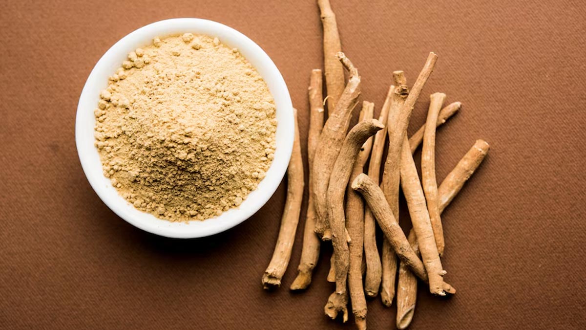 Boosting Immunity With Indian Herbs During Monsoon