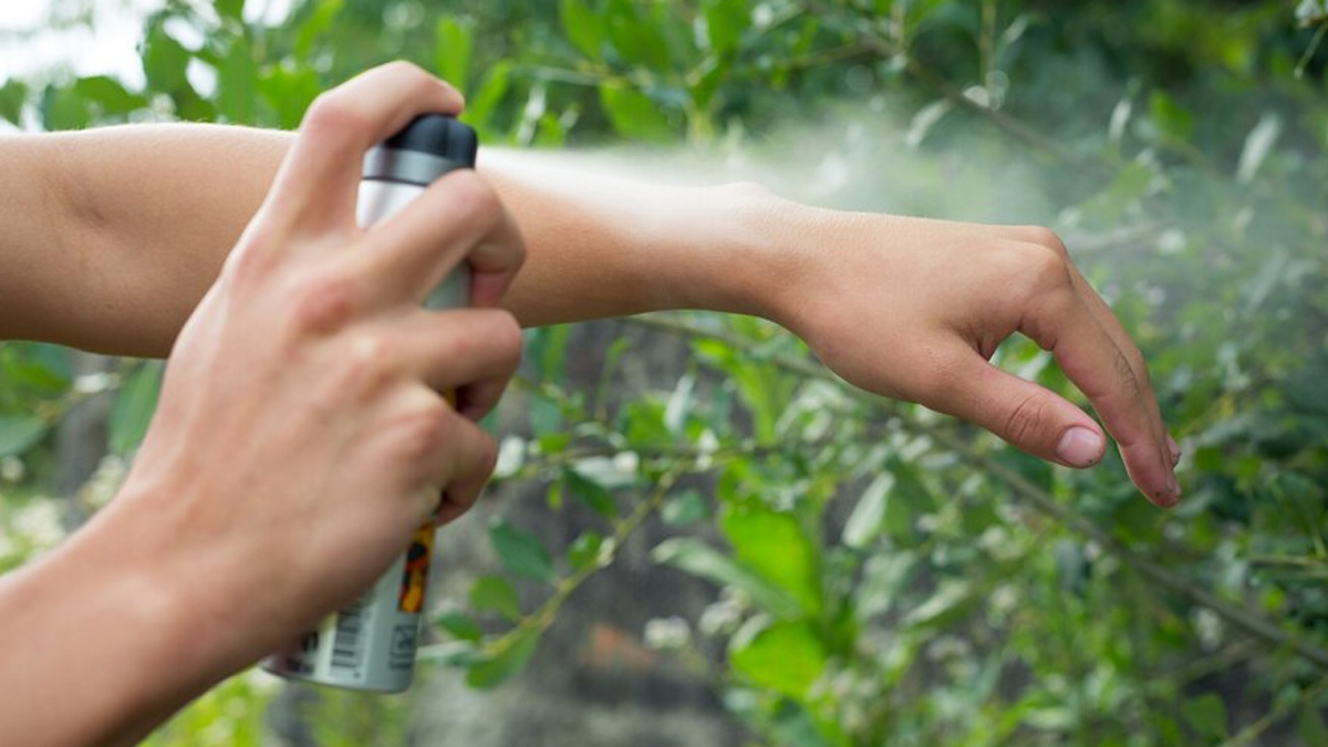 Natural Ways to Keep Mosquitoes Away In Monsoon: Try These DIY Mosquito Repellents