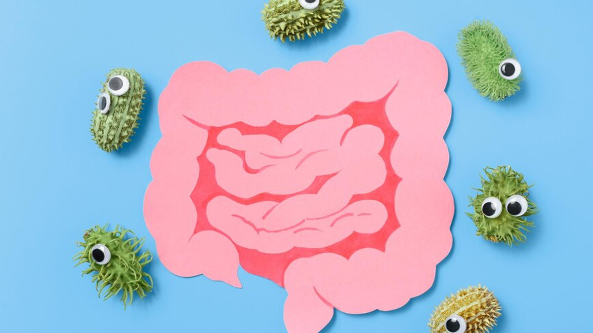 How Probiotics Can Help You Get Relief From Gut Issues During Monsoon