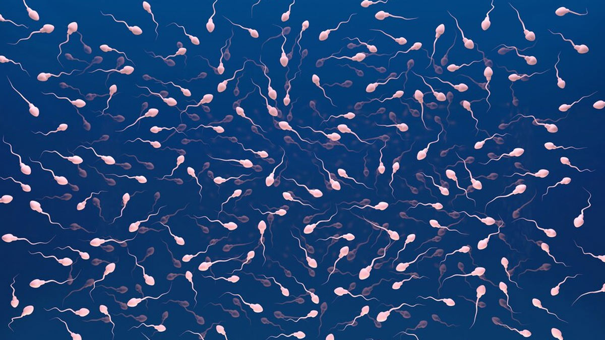 What Is Seminal Plasma Hypersensitivity? Here Are Symptoms, Diagnosis, Treatment Of Semen Allergy