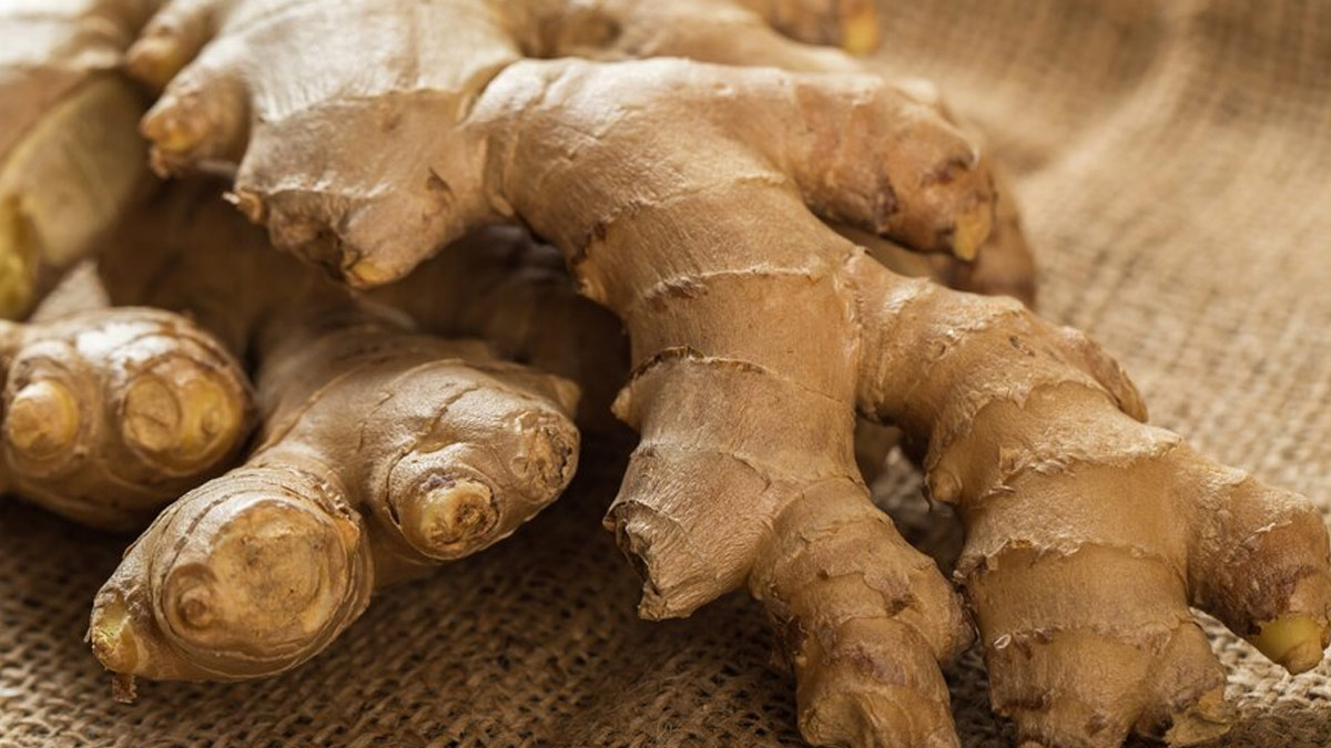 How Safe Is It To Take Ginger Everyday? Expert Shares Limit, Benefits, Considerations, And Who Should Avoid