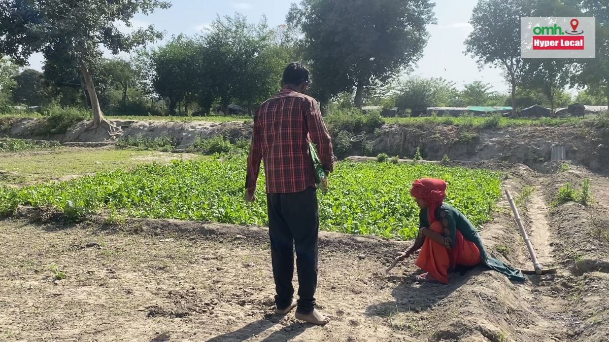 OMHHyperLocal: Lack Of Regulations, Unorganised Farming Contaminating Delhi Vegetables? Answers ICAR Scientist