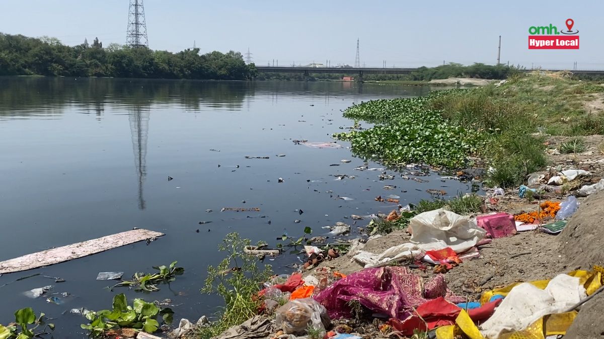 OMHHyperLocal: Lack Of Regulations, Unorganised Farming Contaminating Delhi Vegetables? Answers ICAR Scientist