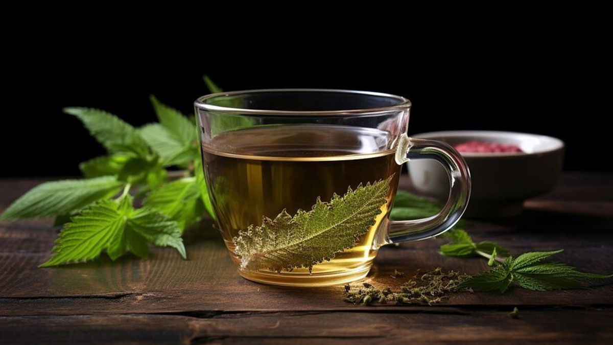 nettle-tea