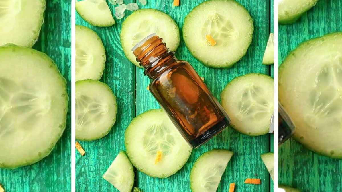 cucumber seed oil