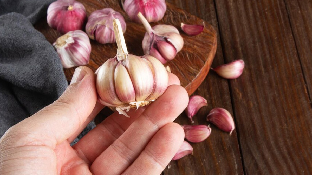 Side Effects Of Eating Garlic Clove On Empty Stomach
