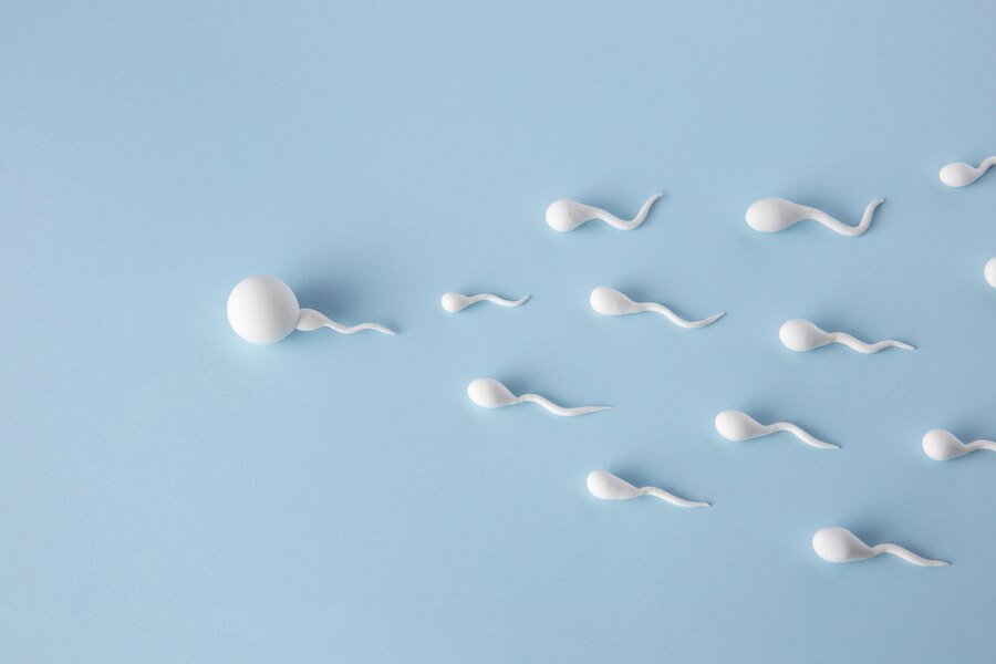 sperm-quality