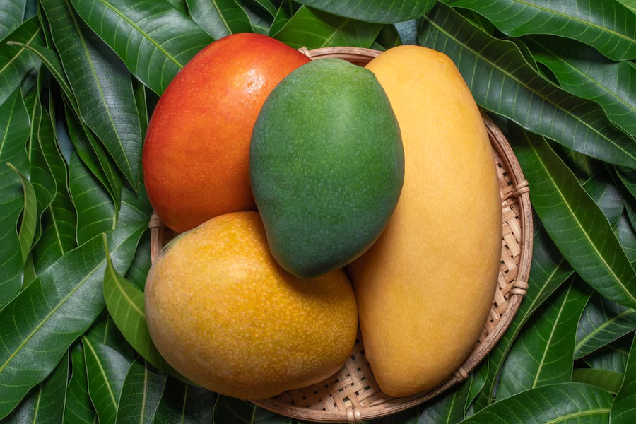 mango-varieties