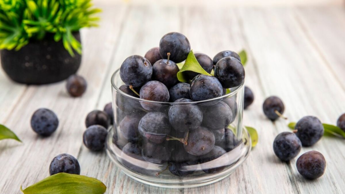 Eating Jamun in Pregnancy Make The Baby Complexion Dark in Hindi